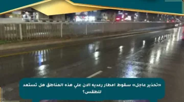 «تحذير عاجل» سقوط أمطار رعدية الآن على هذه المناطق هل تستعد للطقس؟